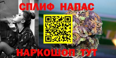 молекула духа Тверь